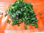 10mm iqf chopped spinach